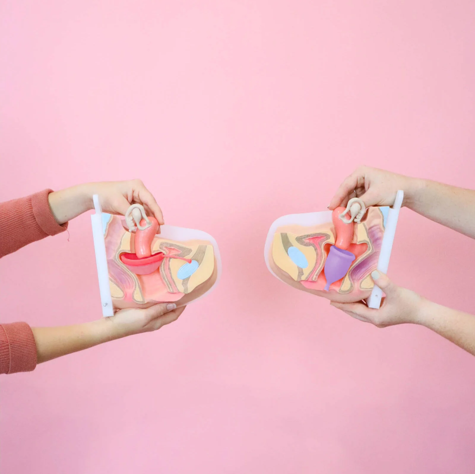 Period Duo - Image 4