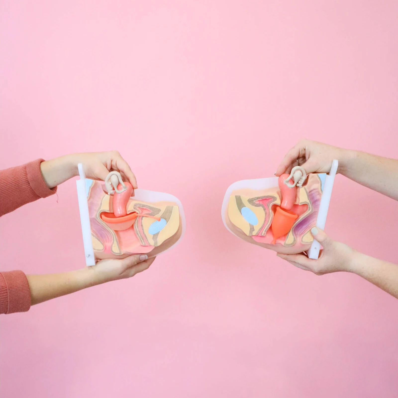 Period Duo Kit - Image 9