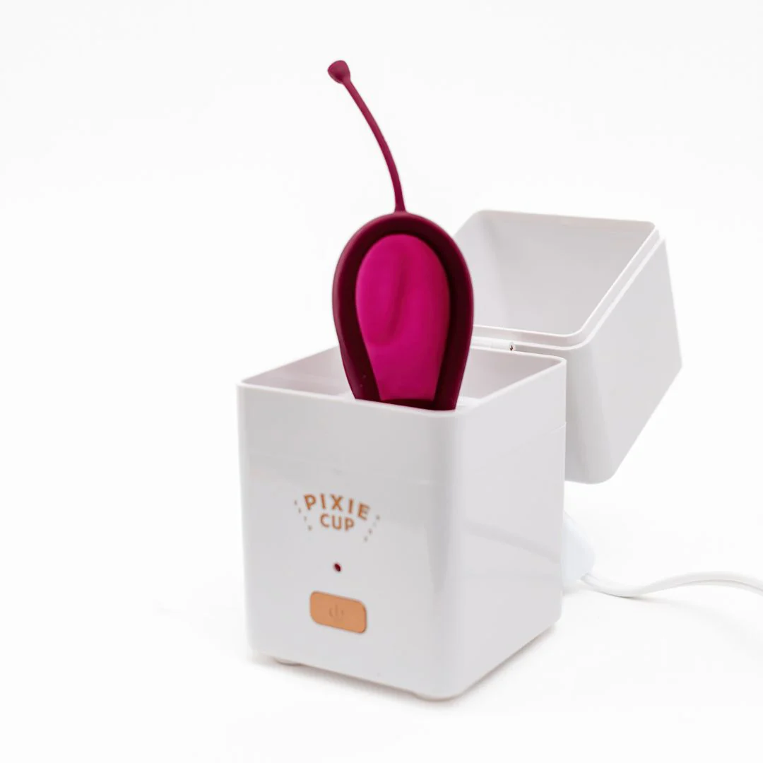 Steamer + Disc Bundle - Image 11